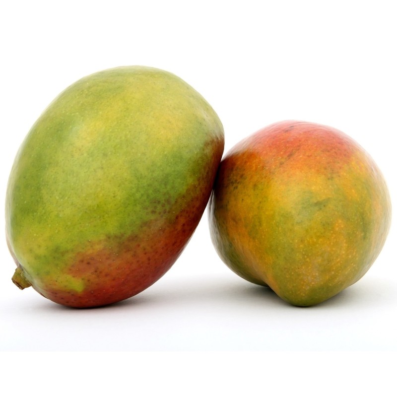 Raw Mango Butter Unrefined - 100% Pure Organic Natural Vegan Skin Hair Body BULK gallery